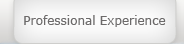 Professional Experience